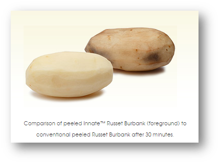 Simplot News Update Spring 2016