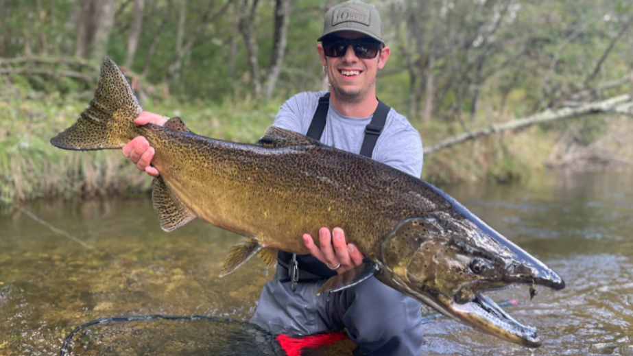 Fall Fly Fishing Seminar Steelhead, Trout and Salmon