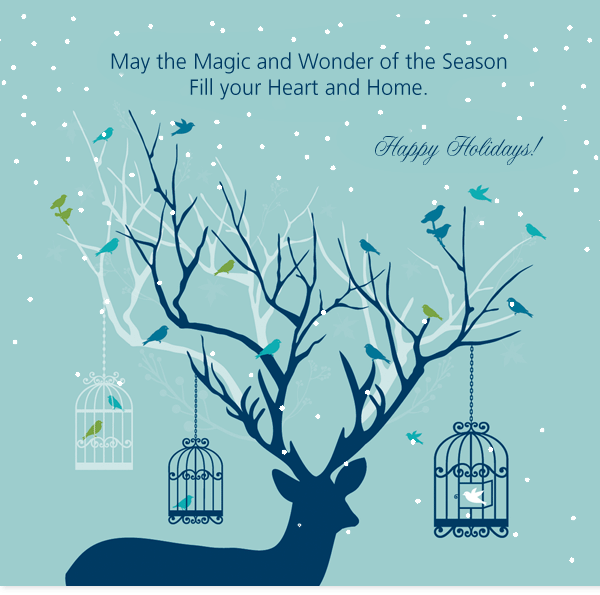 Happy Holidays from Diane Bishop Interiors - May the Magic and Wonder of the Season fill your Heart and Home.