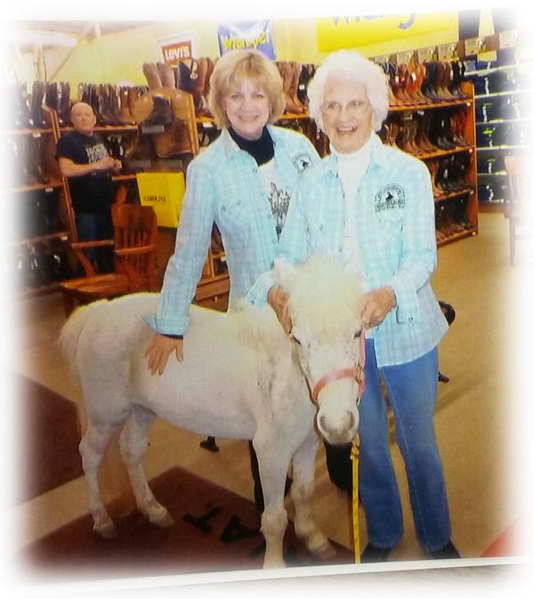 Snowberry the miniature horse at Scott Colburn Boots and Western Wear