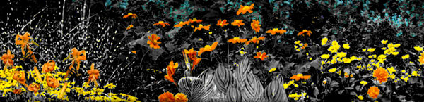abstract-color-flowers.jpg