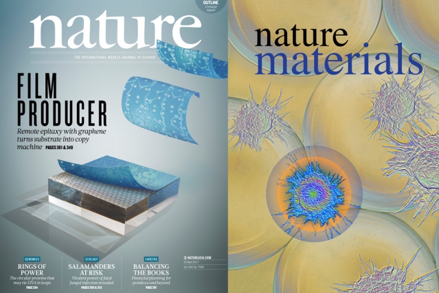 Felice Frankel_ a research scientist in MIT_s Center for Materials Science and Engineering_ has helped to produce images that just in the last few months have graced the covers of Nature_ Nature Materials_ and Environmental Science_ among others.