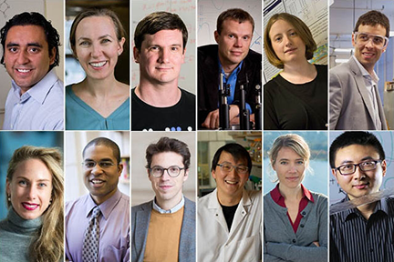 Top row, left to right, Yuriy Roman, Katharina Ribbeck, Ryan Williams, Bradley Olsen, Noelle Selin, and John Hart. Bottom row, left to right, Polina Anikeeva, Cullen Buie, Nuno Loureiro, Timothy Lu, Jessika Trancik, and Xuanhe Zhao.