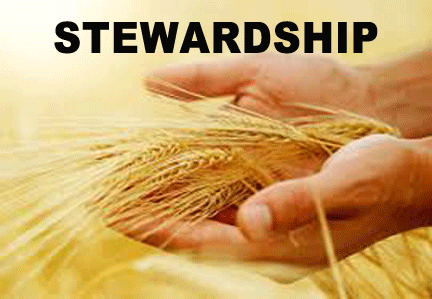 Stewardship