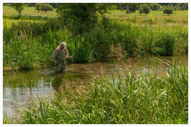 Weed cutting at Middleton