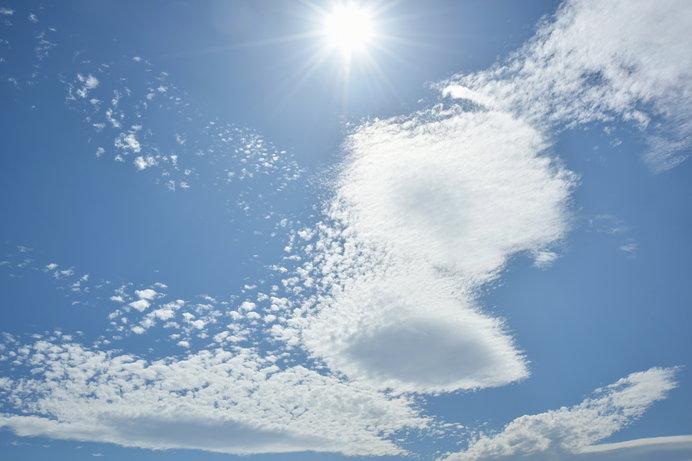 Hakusho _light summer_