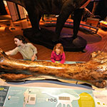 The World's Largest Dinosaurs