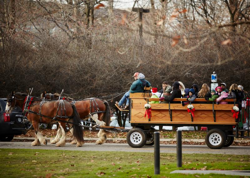 Holiday Carriage Rides in the Cleveland Cultural Gardens Holiday Carriage Rides in the Cleveland Cultural Gardens