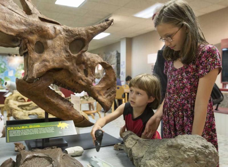 Summer Show and Tell