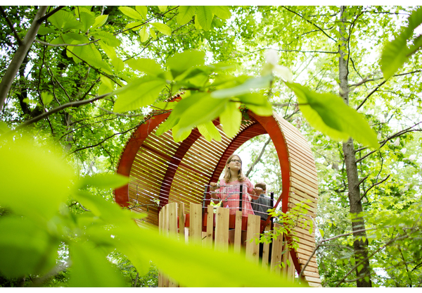 Branch Out into Poetry