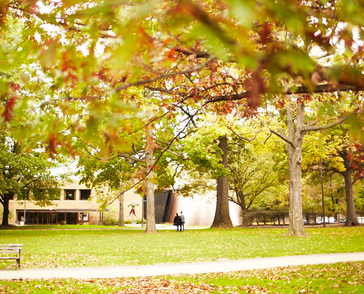 Strong Communities and Local Public Funding for Arts & Culture: A Dialogue