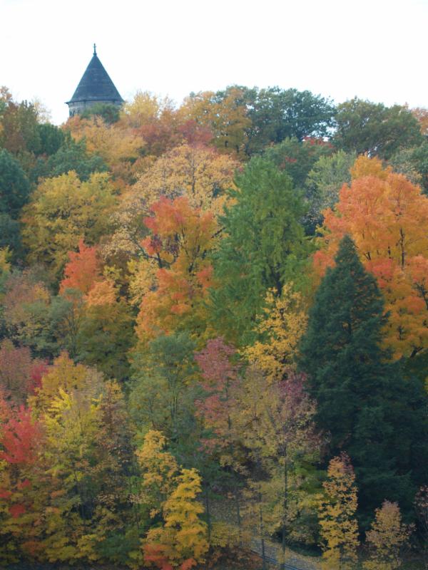 President James A. Garfield - The Man and his Legacy
