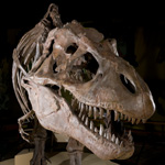 Cleveland Museum of Natural History Expansion