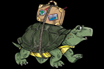 Turtle Travels