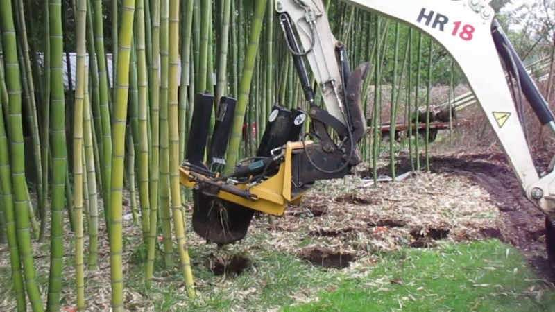 American Bamboo Society Annual Conference 2019