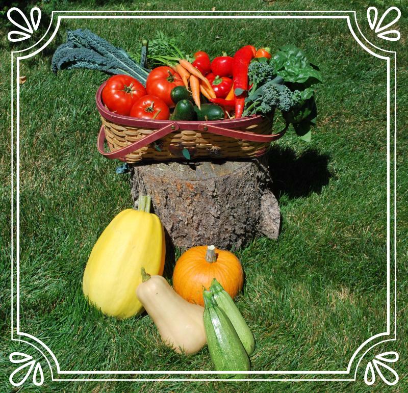 Pikes Peak Urban Gardens 2016 Csa Share