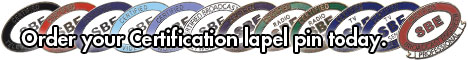 Certification Pins For Sale