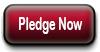 Pledge Now button