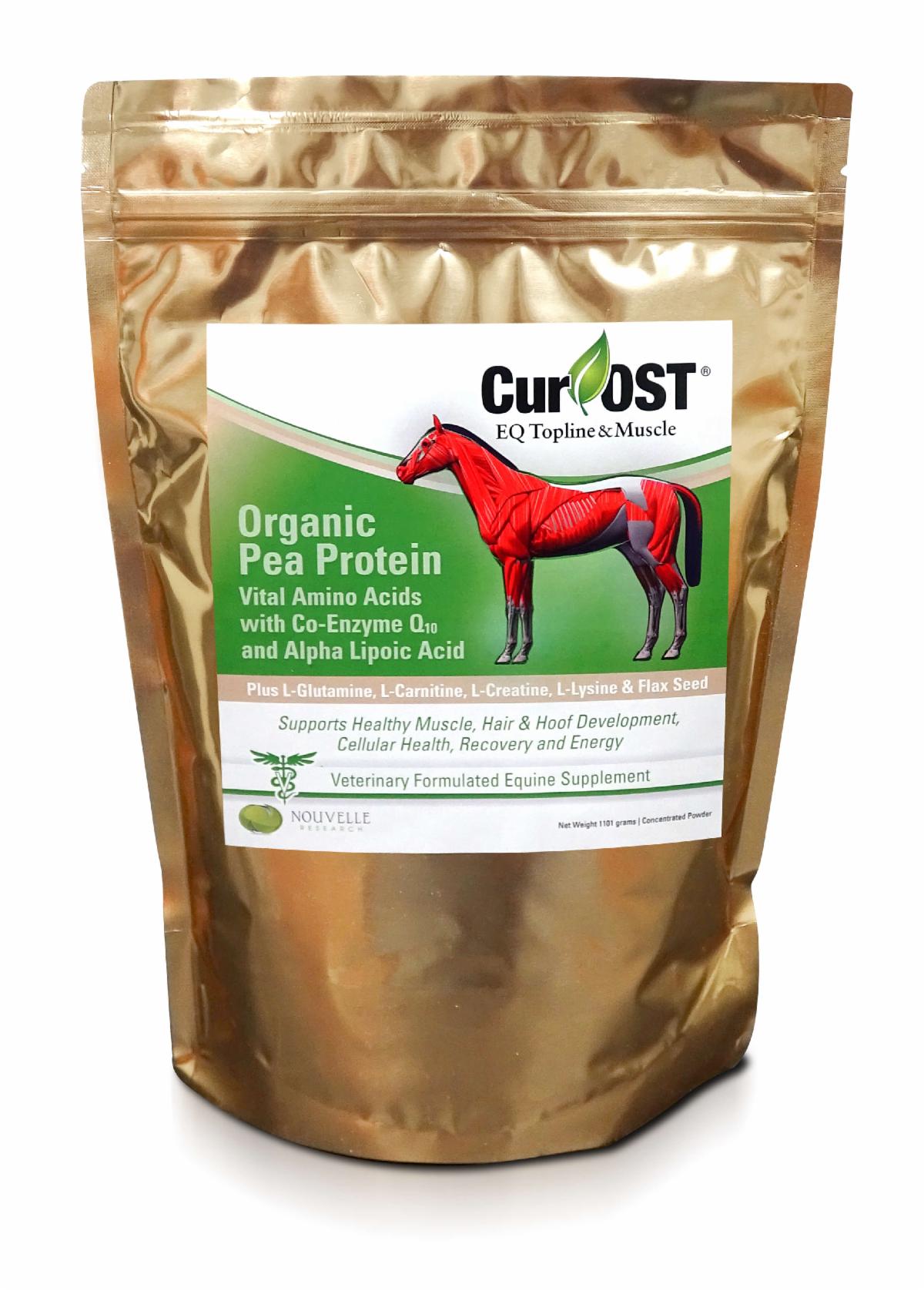 To: Forage for Thought Subscriber: Whole Food Options to Boost Protein  Quality -- Forage for Thought - September/October 2019 Issue -- Juliet M.  Getty , Ph.D.