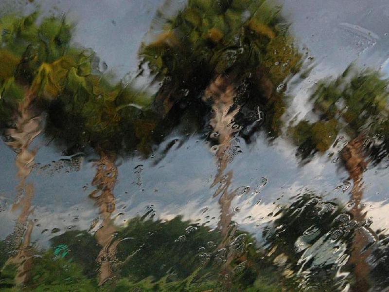 The Landscape Of Grief And Loss A Healing Journey In Nature