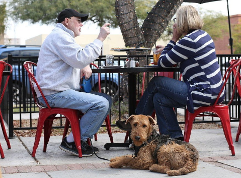 Pet Friendly Restaurants Near You - Becky's Pet Care