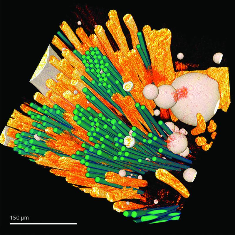 Non-destructive 3D quantification of fiber reinforced polymer composite materials. Courtesy of Professor Abbas Milani, School of Engineering, University of British Columbia