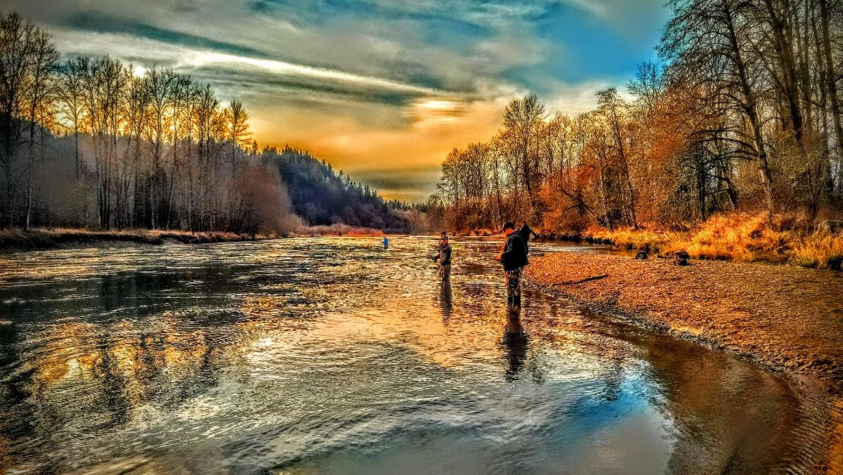Willamette River Festival Eugene Fishing Scene Middle Fork Fly Fishing