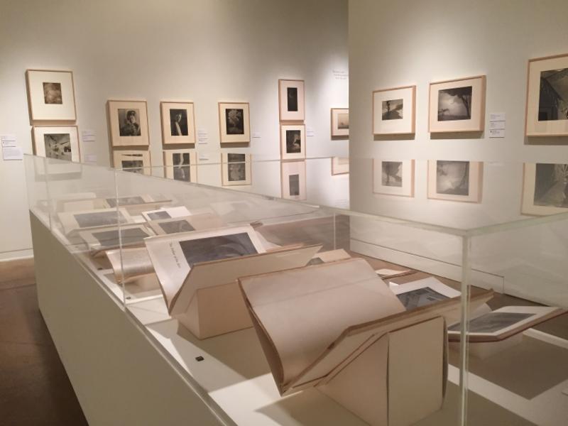 Making Waves gallery view