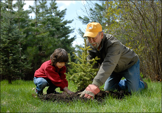 Image result for plant trees
