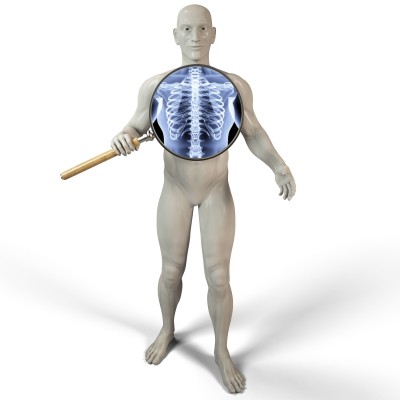 spine