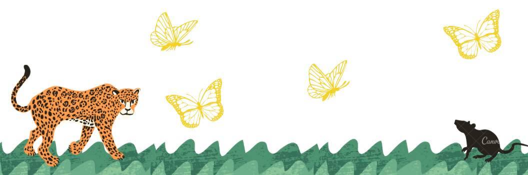 Encanto Inspired Kids Paint Party