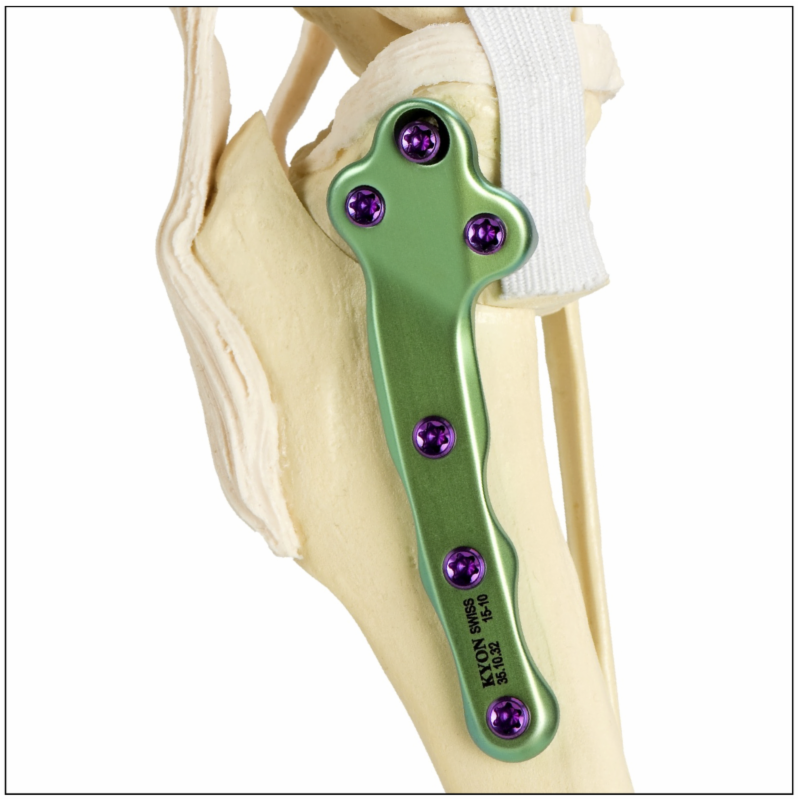 KYON TPLO Course SCIVAC, Cremona IT