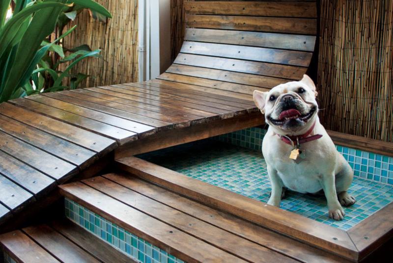 Outdoor Living: The Pet Edition - Hatchett Design/Remodel Outdoor Living: The Pet Edition - Hatchett Design/Remodel