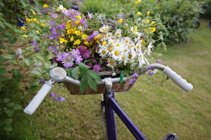 Bicycle and Flower Basket