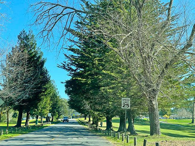 2022 Central Coast Chapter Golf Event