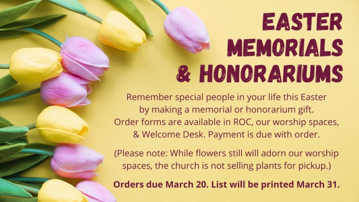 e2f6e85e-297e-44aa-9021-2ddbd846beb9 image